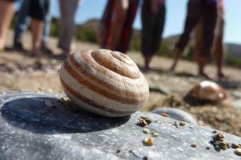 Diplom-Lehrgang Kinesiologie