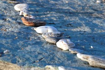 Kommunikation / Gesprächsführung