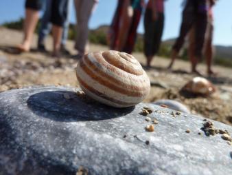 Kommunikation / Gesprächsführung