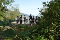 Masterclass Systemisches Coaching